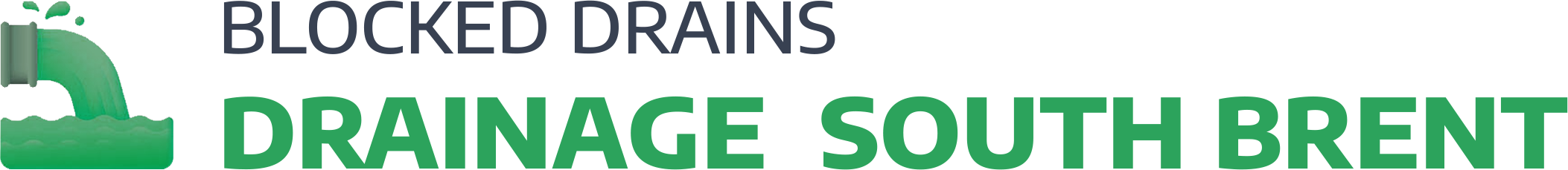 website logo
